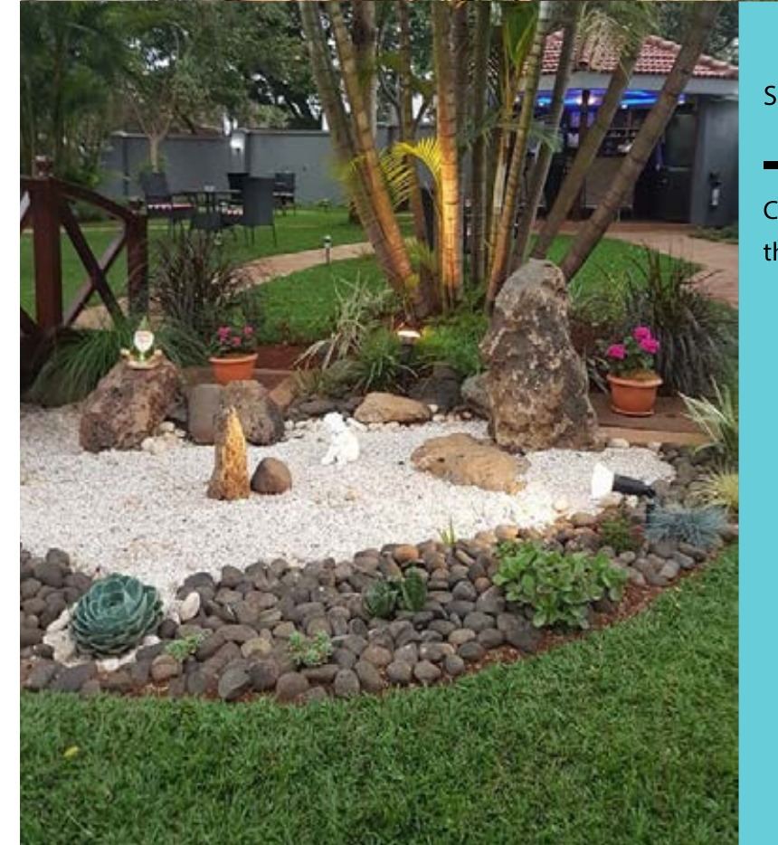 Zen rock garden with succulents