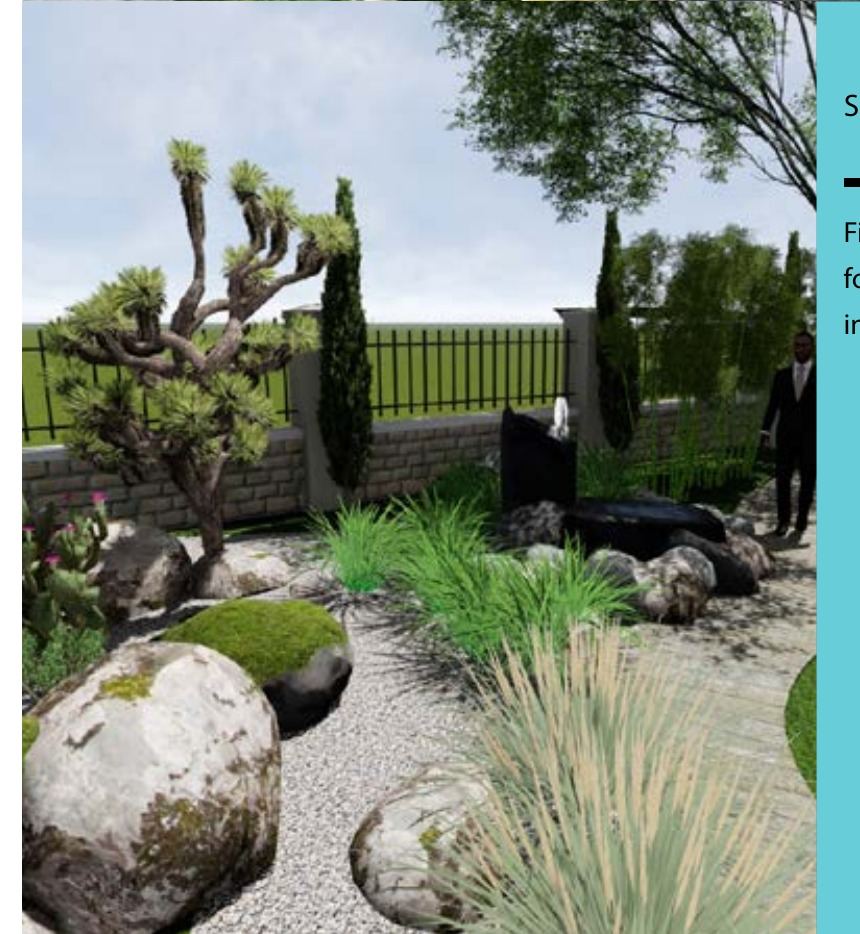 Finished rock garden with ornamental grasses
