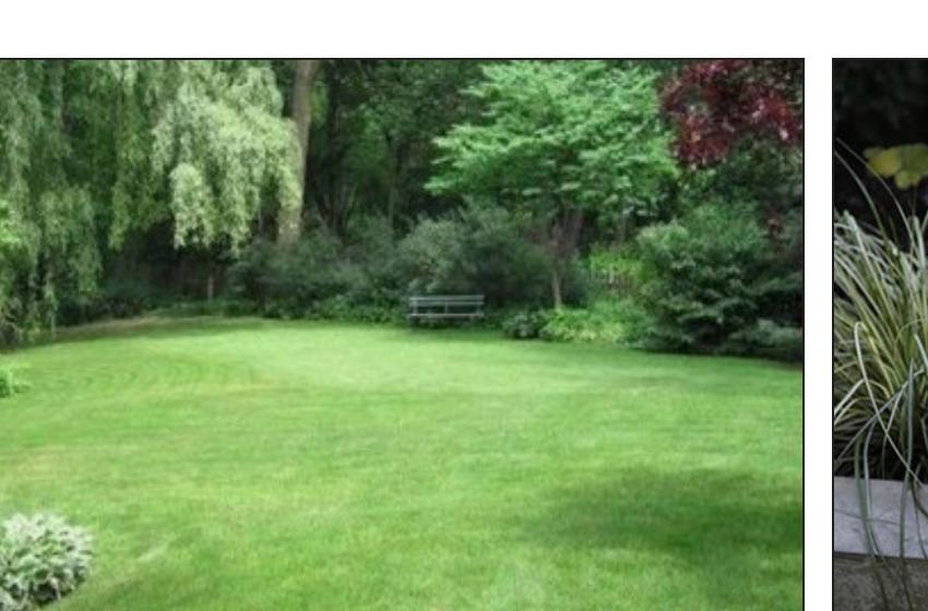 Lawn and mature trees inspiration reference